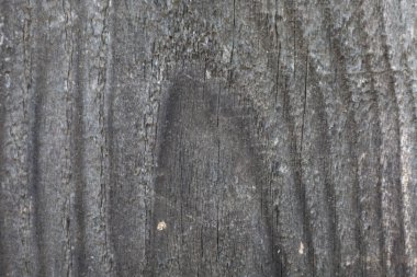 Bu detaylı ahşap doku, belirgin çatlaklar ve tahıllarla yıpranmış ve solmuş bir yüzeyi gösteriyor. Kabataslak, yaşlanmış görünümü arka planlar için mükemmel ve doğal, kırsal unsurlar sergiliyor..