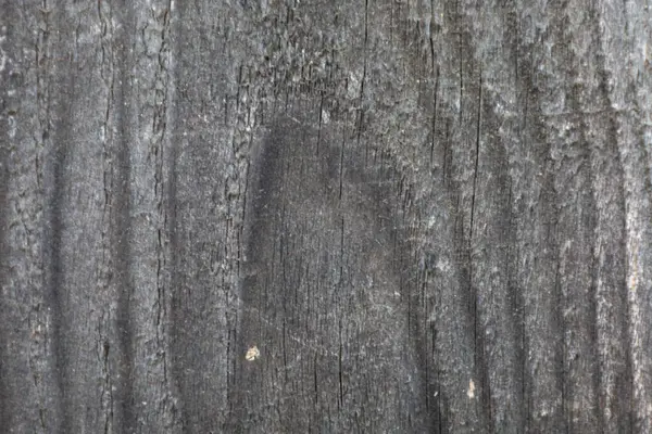 Bu detaylı ahşap doku, belirgin çatlaklar ve tahıllarla yıpranmış ve solmuş bir yüzeyi gösteriyor. Kabataslak, yaşlanmış görünümü arka planlar için mükemmel ve doğal, kırsal unsurlar sergiliyor..