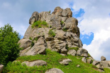 Taş bir kuleye benzeyen dev kaya oluşumları, çimlerle kaplı yeşil bir tepenin üzerinde yükselir ve seyrek çalılıklar oluşturur. Bu doğal anıt, mavi gökyüzü altında doğanın gücünü ve eşsiz formlarını gösteriyor..