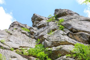 Garip şekilli devasa kaya oluşumları kısmen canlı yeşil bitki örtüsüyle kaplı. Doğanın ihtişamını ve esnekliğini gösteriyor..