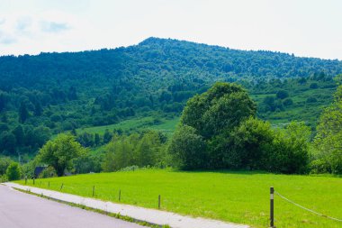 Yeşil bir tarla boyunca uzanan, görkemli ormanlık dağların arka planına uzanan bir yolu olan pitoresk bir manzara bir yer ve özgürlük hissi yaratır..
