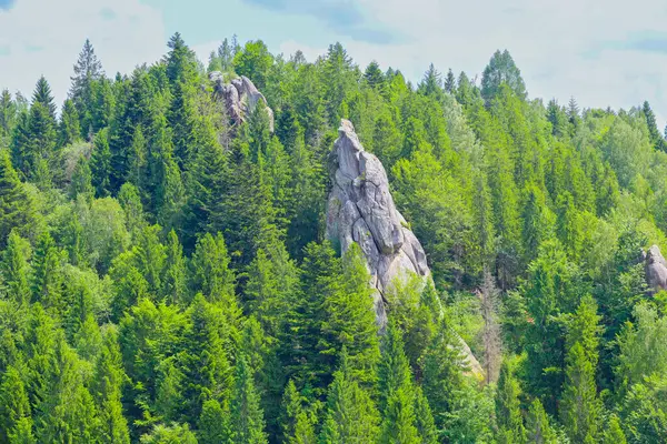 Dağ yamacı, yüksek ve keskin kaya oluşumlarının ortaya çıktığı yeşillik boyunca yoğun kozalaklı ormanlarla kaplıdır. Bu resim gibi manzara, mavi gökyüzünün altında vahşi doğayı ve ihtişamını gösteriyor..