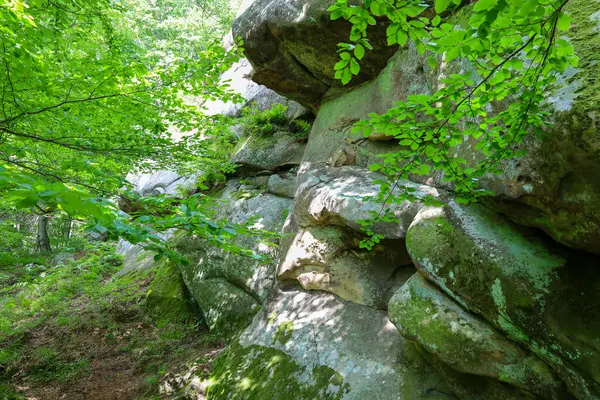 Kısmen yosunla kaplanmış ve sık ağaç yapraklarıyla örtülmüş görkemli kayalar gizemli ve el değmemiş bir orman atmosferi yaratıyor..