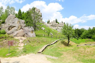 Urich, Ukrayna, - 08 Haziran 2024: Büyük kayalar ve yeşil ağaçlarla çevrili, ahşap bir patika yol.