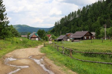 Sopit, Ukrayna, - 08 Haziran 2024: Yeşillik yeşil tarlalar ve orman tepeleriyle çevrili geleneksel evlere giden toprak bir yola sahip Polonya kırsal bölgesi.