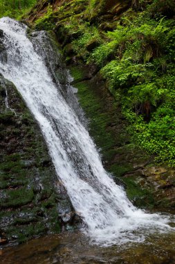 Yoğun bir ormanla çevrili yeşil yosun ve bitki örtüsüyle kaplı kayalık bir yamaçta berrak su çağlayan dik bir şelale. Bu görüntü vahşi doğanın güzelliğini ve tazeliğini yansıtıyor, bir huzur ve uyum hissi yaratıyor..