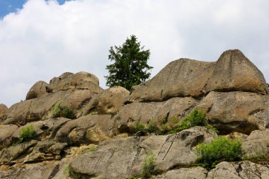 Yıpranmış yüzeyleri ve çıkıntıları olan devasa taş kayalar doğanın gücüne ve uzun bir tarihe tanıklık eden görkemli, eşsiz bir rahatlama yaratıyor..