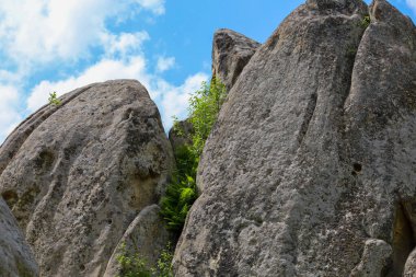 Büyük, yıpranmış kaya oluşumları mavi gökyüzüne doğru yükseliyor ve aralarında yeşil bitkiler büyüyor. Aşağıdan çekilen bu çekim, doğanın ihtişamını ve gücünü vurguluyor, ölçek ve dayanıklılık hissi yaratıyor..