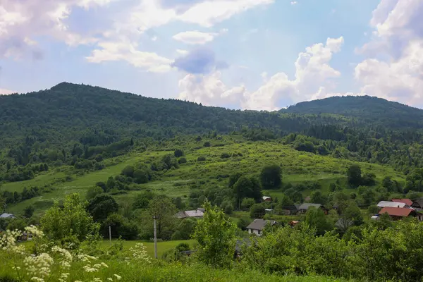 Yoğun ormanlarla kaplı geniş panoramik bir dağ manzarası ve rahat bir kırsal yerleşim yerine uzanan yeşil yamaçlar..