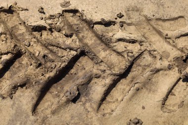 Çamur ve kilden oluşan zengin dokulu bir arka plan, ağır bir lastik izinden derin bir iz gösterir ve dinamik bir model yaratır. Bu görüntü bir hareket ve doğa ile etkileşim hissi iletir..