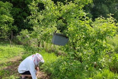 Koruyucu giysili bir adam, çiçek açan bir bahçedeki ağaçtaki arı kapanının yanında çalışıyor. Sahne insan ve doğa arasındaki uyumu aktarıyor, arıcılık ve biyolojik çeşitliliğin önemini vurguluyor..