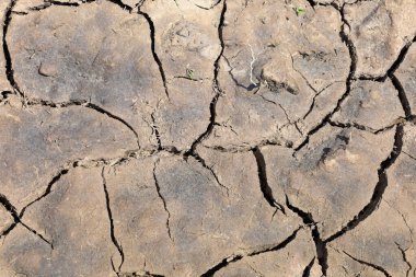 Kuru yeryüzündeki çatlaklar, kuraklığın ve güneşin doğal çevreye etkilerini gösteren karmaşık bir örüntü oluşturur. Bu yakın çekim, ekosistemin kırılganlığını ve su kaynaklarının önemini vurguluyor..