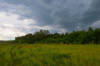 Alçak, kasvetli bir gökyüzünün altında yoğun bir ormanın sınırında geniş yeşil bir alan uzanıyor. Parlak otlar ve kara bulutlar arasındaki zıtlık dramatik ama büyüleyici bir doğal manzara yaratır..