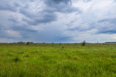 Fırtınalı bir gökyüzünün altında, uçsuz bucaksız yeşil bir çayır uzanır, rüzgarın uzun otları salladığı yerde. Bu barışçıl kırsal alan bir mekan ve doğal güzellik hissi ile doludur. Düşüncelere daldırır..