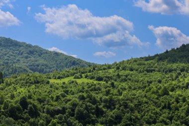 Yoğun ormanlar ve küçük açıklıklarla kaplı yeşil dağlar, açık bulutlu mavi bir gökyüzünün altında uzanıyor. Bu panoramik manzara bir uzay ve doğal güzellik hissi taşır..