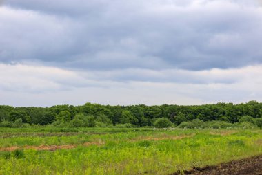 Sonu gelmeyen yeşil bir alan. Toprağın görülebilir izleri bulutlu bir gökyüzünün altında sık bir orman hattına doğru uzanıyor. Bu kırsal alan Ukrayna 'nın doğasının sükunetini ve genişliğini aktarıyor. Bu da insan ve kara arasındaki etkileşimi gösteriyor..