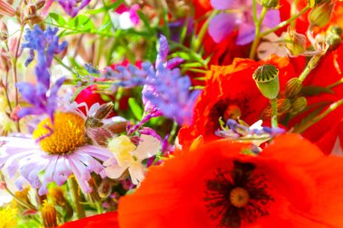 Yaban çiçeklerinin bu canlı kompozisyonu kırmızı haşhaş, mor ve beyaz çiçekler ve yemyeşil çiçeklerle doludur..