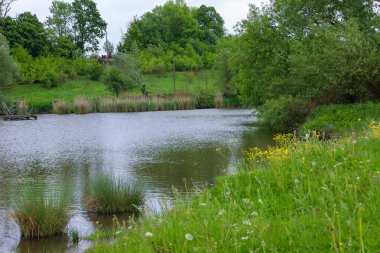 Bu fotoğrafta yemyeşil ve uzun otlarla çevrili sakin bir kırsal gölet görülüyor. Suyun yüzeyi etrafındaki ağaçları yansıtarak doğal güzelliği ve huzuru mükemmel bir şekilde yansıtan pitoresk bir manzara yaratır..