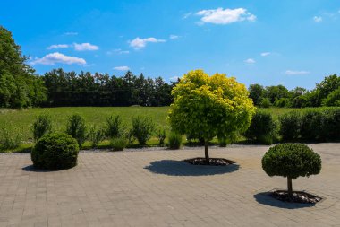 Yeşil bir tarlanın arka planında kaldırım taşları ve dekoratif ağaçlarla dolu rahat bir avlu ve bulutlu mavi bir gökyüzü. Bu görüntü, bölgenin iyi korunmuş doğasını ve doğal manzara ile doğal ortam arasındaki uyumu aktarır. 