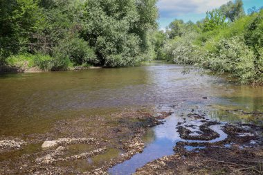 Uyumlu bir manzara, sık ağaçlar ve çalılarla çevrili sakin bir nehri gösterir. Ön planda, kayalar ve çamurla kaplı ıslak bir banka görülebilir, mavi gökyüzünü yansıtır, resimsel bir kontrastlık yaratır.