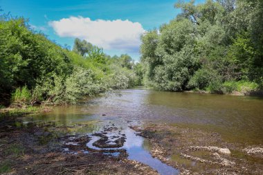 Nehir yavaşça sahilin yanından akar. Kum ve taşların üzerinde karmaşık desenler oluşur. Ağaçların ve çalıların yoğun yeşilliği su yüzeyini sarar, sükunet ve doğal güzellik atmosferi yaratır..