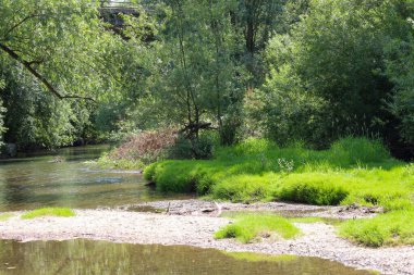 Yoğun çimen ve ağaçlar sığ suların kumlu bir tabanı ortaya çıkardığı sakin bir nehir oluşturuyor. Arka planda, doğa ve insan altyapısının bir karışımını gösteren bir köprünün ana hatları ortaya çıkıyor..