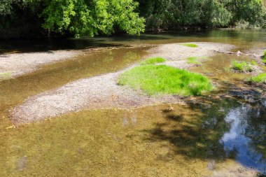 Nehrin geniş bir bölümünde sığ su, çakıllı bir taban ve canlı yeşil çimen adacıkları ortaya çıkar. Bu doğal manzara su berraklığını ve huzurlu bir atmosferi yansıtır, doğa ve rahatlama temaları için idealdir..