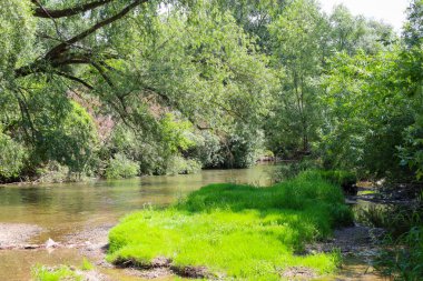 Etrafı yemyeşil yeşilliklerle ve kıyılarında canlı otlarla çevrili sakin bir nehir. Bu manzara doğal güzelliği, sükuneti ve yaz rahatlığını resmetmek için idealdir..