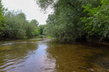 Temiz suyu olan bir nehir, sık yeşil ağaçlar tarafından çerçevelenmiş bir ormanın içinden akar ve huzurlu ve resimsel bir manzara yaratır. Bu doğal sahne huzuru ve el değmemiş vahşi güzelliği yansıtıyor..