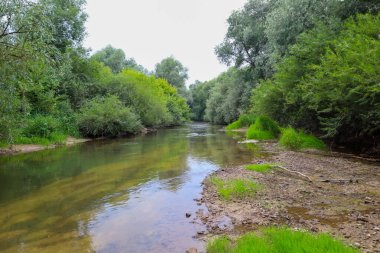 Düşen dallar ve yapraklar gibi doğal elementlerle kaplı nehir kıyısı vahşi ve alışılmadık bir manzara yaratır. Bulanık su çevredeki bitki örtüsünü yansıtıyor. Bu köşenin bozulmamış doğasını vurguluyor..
