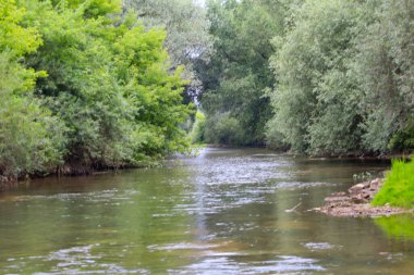 Fotoğraf geniş bir nehri gösteriyor, her iki tarafında yemyeşil bitki örtüsü tarafından çerçevelenmiş, tünel etkisi yaratıyor. Yumuşak ışık suya yansıyor ve sakin akış bir dinginlik havası yayıyor..