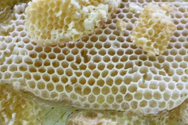 Bal vitrinleriyle dolu bal peteklerinin detaylı bir makro çekimi kusursuz doğal geometri. Altın altıgen hücreler ve bal peteği parçaları tazelik ve doğallıkla ilgili eşsiz, iştah açıcı bir doku oluşturur.