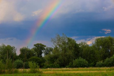 Bir sabah gökkuşağı ufukta görünür. Ormanlık bir alanla çevrili geniş bir araziyi geçer. Değişen bir gökyüzünün altında hem açık mavi hem de koyu renkli bulutlar büyüleyici bir doğal manzara yaratır..