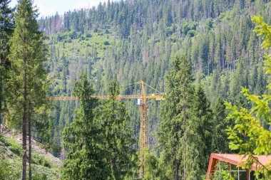 Bir dağ yamacını kaplayan yoğun ormanın ortasında, parlak sarı bir vinç kuleleri var. Aktif insan aktivitesini sembolize eder, harmonik ya da zıtlık derecesinde doğal ortama entegre eder..