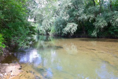 Bu nehir, berrak sularına yansıyan yemyeşil ağaçlarla çevrili güneş ışınlarının altında parıldıyor. Sakin akış bir ahenk ve doğal güzellik hissi yaratır..
