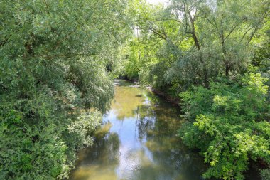 Yoğun ağaçların gölgesinde, sakin bir nehir akar, gökyüzünü ve sularındaki yeşilliği yansıtır. Bu huzurlu sahne derin bir sükunet ve doğa ile birlik hissi yaratıyor..