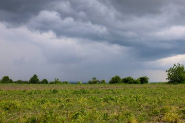 Kasvetli bir gökyüzü, ilk yağmur damlalarının toprağı nemlendirmeye başladığı yeşil bir tarlanın üzerinde asılı duruyor. Kara ağaç siluetleri ufukta zar zor görünür ağır bulutların altında.