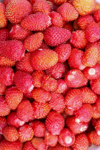 Küçük orman böğürtlenlerinin zengin kırmızı rengi, doğal güzelliğiyle dikkat çeker ve harika bir tat vaat eder..