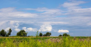 Mavi gökyüzünün altında beyaz bulutlar ve ufukta dağılmış ağaçlarla genç yeşil ekinlerin olduğu panoramik bir manzara. Bu manzara tarım arazilerinin doğal güzelliğini ve verimliliğini sembolize ediyor..