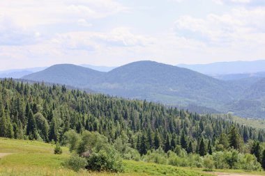 Görkemli ormanların yamaçları kapladığı ve eriyerek mavi bir sise dönüşen uzak tepelere dönüştüğü bir dağ manzarası. Bu çekim huzur ve doğanın ihtişamını yansıtıyor..