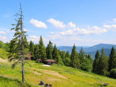 Küçük ahşap evlerin bulunduğu sık ormanlı bir dağ yamacının panoramik görüntüsü doğada sakin bir dinlenme ortamı yaratıyor..