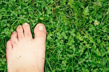 Yoncayla yeşil bir çimenlikte duran çıplak ayak, doğa ve özgürlükle olan bağlantıyı simgeliyor. Bu görüntü bir rahatlık, tazelik ve yaz tatili hissi veriyor..