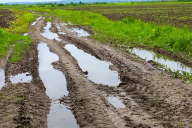 Yeşil tarlalar arasında uzanan derin su birikintileri ve traktör izleri olan toprak bir yol. Bu manzara, yağmurlu bir günün atmosferini ve karadaki aktif çalışmaları aktarır..