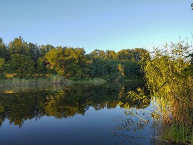 Akşam güneşi, ağaçların ve sazlıkların sakince suya yansıdığı nehir kıyılarını hafifçe aydınlatıyor. Nehrin sessiz yüzeyi bir dinginlik hissi ve günün sonunda....