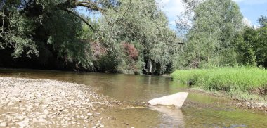 Yeşil ağaçlar ve çalılarla çevrili, taşlı ve otlu nehir kıyısı. Resim sükuneti ve doğallığı vurguluyor, resim gibi bir manzara yaratıyor..