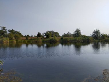 Geniş, sakin bir nehir karşı kıyıdaki sık ağaç ve çalıları yansıtır. Sudaki küçük dalgalanmalar ve berrak bir yaz gökyüzü huzur ve uyum hissi yaratır..