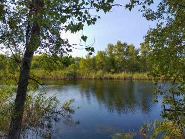Yaprak ve dallardan oluşan doğal bir çerçeve suyun sakin yüzeyini çerçeveler ve karşı kıyıdaki yeşil ağaçları yansıtır. Yaprakların arasından süzülen ışık, nehirde sakin bir yaz gününün pitoresk atmosferini yaratır.