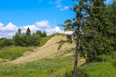 Bir dağ yamacında, yemyeşil çimenler ve kozalaklı ağaçlarla yan yana uzanan çıplak ve kumlu bir zemin vardır. Manzara, doğal yeşillik ile açık bulutlu, parlak, yazlık bir gökyüzü altında erozyona eğilimli bir alan arasında ilginç bir zıtlık yaratır..