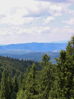 Yoğun bir kozalaklı ormanla kaplı yuvarlanan tepelerin manzarası uzak, puslu dağ sıralarına açılıyor. Üzerimizde bulutlar sürükleniyor, hem uçsuz bucaksız hem de sakin bir manzarayı aydınlatıyor..