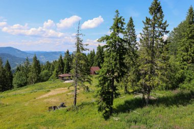 Uzun çam ve çam ağaçları yamaçtaki ahşap evleri kuşatır. Dağ sıraları uzaktan görülebilir ve mavi gökyüzü beyaz bulutlarla süslenmiştir. Burası huzurlu bir dağ manzarası. 